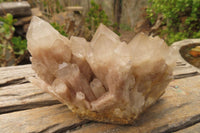 Natural Classic Cascading Smokey Phantom Quartz Clusters x 2 From Luena, Congo