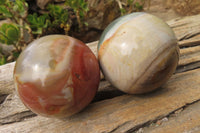 Polished Polychrome Jasper Spheres x 6 From Madagascar