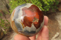 Polished Polychrome Jasper Spheres x 6 From Madagascar