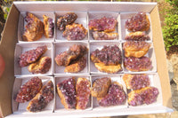 Natural Amethystos Amethyst Plates x 24 From Kwaggafontein, South Africa