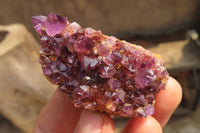 Natural Amethystos Amethyst Plates x 24 From Kwaggafontein, South Africa