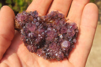 Natural Amethystos Amethyst Plates x 24 From Kwaggafontein, South Africa