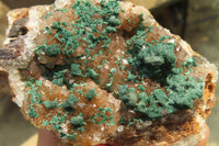 Natural Ball Malachite On Quartz Matrix Specimens x 4 From Kambove, Congo