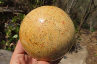 Polished Runestone Feldspar Spheres x 3 From Zimbabwe