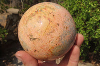 Polished Runestone Feldspar Spheres x 3 From Zimbabwe