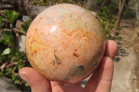 Polished Runestone Feldspar Spheres x 3 From Zimbabwe