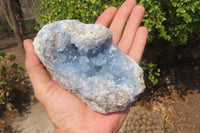 Natural Blue Celestite Specimens x 3 From Sakoany, Madagascar