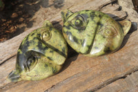 Polished Leopard Stone Cat Face Carvings x 3 From Zimbabwe