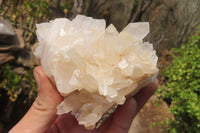 Natural Clear Quartz Clusters x 4 From Madagascar