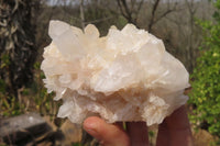 Natural Clear Quartz Clusters x 4 From Madagascar