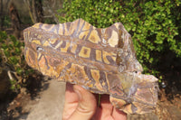 Polished On One Side Nguni Jasper Specimens x 2 From Prieska, South Africa