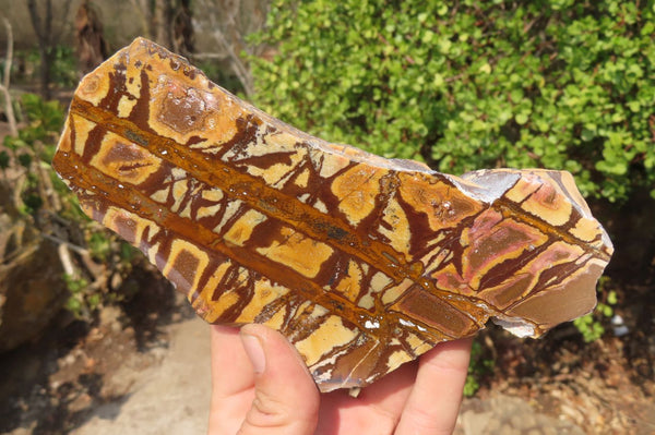 Polished On One Side Nguni Jasper Specimens x 2 From Prieska, South Africa