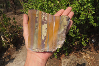 Polished On One Side Nguni Jasper Specimens x 2 From Prieska, South Africa