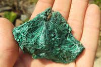 Natural Silky Malachite Specimens x 12 From Kasompe, Congo