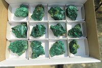 Natural Silky Malachite Specimens x 12 From Kasompe, Congo