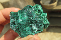 Natural Silky Malachite Specimens x 12 From Kasompe, Congo