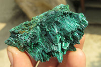 Natural Silky Malachite Specimens x 12 From Kasompe, Congo