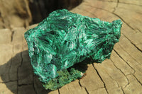 Natural Silky Malachite Specimens x 12 From Kasompe, Congo