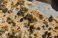 Natural Libethenite Crystals On Dolomite Matrix Specimens x 5 From Shituru, Congo