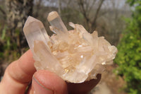 Natural Clear Quartz Clusters x 35 From Madagascar