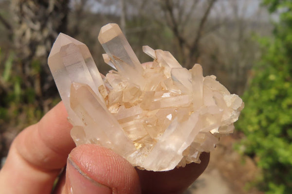 Natural Clear Quartz Clusters x 35 From Madagascar