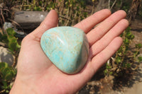 Polished Amazonite Free Forms x 12 From Zimbabwe