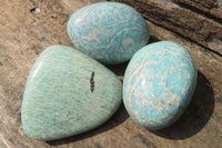 Polished Amazonite Free Forms x 12 From Zimbabwe