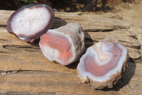 Polished Red Sashe River Agate Nodules x 6 From Zimbabwe