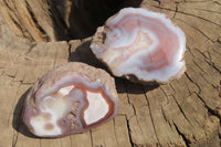 Polished Red Sashe River Agate Nodules x 6 From Zimbabwe