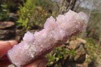 Natural Ametrine Spirit Quartz Clusters x 12 From Boekenhouthoek, South Africa