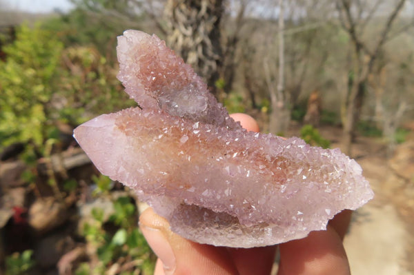 Natural Ametrine Spirit Quartz Clusters x 12 From Boekenhouthoek, South Africa