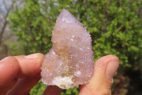 Natural Ametrine Spirit Quartz Clusters x 12 From Boekenhouthoek, South Africa