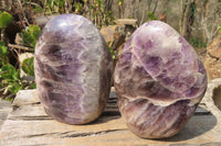 Polished Chevron Amethyst Standing Free Forms x 2 From Madagascar