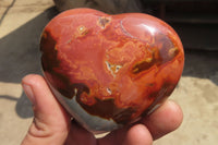 Polished Polychrome Jasper Hearts x 6 From Madagascar