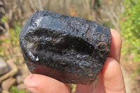 Natural Alluvial Schorl Black Tourmaline Crystals x 12 From Zimbabwe