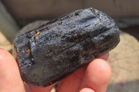 Natural Alluvial Schorl Black Tourmaline Crystals x 12 From Zimbabwe