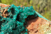 Natural Emerald Dioptase Specimen x 1 From Kaokoveld, Namibia