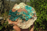 Natural Emerald Dioptase Specimen x 1 From Kaokoveld, Namibia