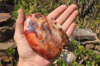 Polished Carnelian Standing Free Forms x 2 From Madagascar