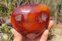 Polished Carnelian Standing Free Forms x 2 From Madagascar