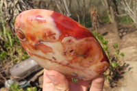 Polished Carnelian Standing Free Forms x 2 From Madagascar