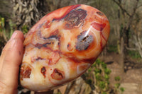 Polished Carnelian Standing Free Forms x 2 From Madagascar