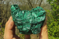 Natural Silky Malachite Specimens x 3 From Kasompe, Congo