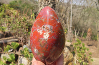 Polished Red Jasper Standing Free Forms x 3 From Madagascar