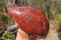 Polished Red Jasper Standing Free Forms x 3 From Madagascar