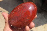 Polished Red Jasper Standing Free Forms x 3 From Madagascar