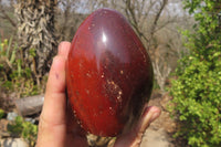 Polished Red Jasper Standing Free Forms x 3 From Madagascar