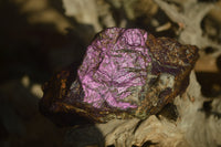 Natural Metallic Purpurite Cobbed Specimens x 5 From Erongo, Namibia