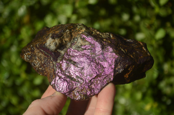 Natural Metallic Purpurite Cobbed Specimens x 5 From Erongo, Namibia