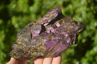 Natural Metallic Purpurite Cobbed Specimens x 5 From Erongo, Namibia